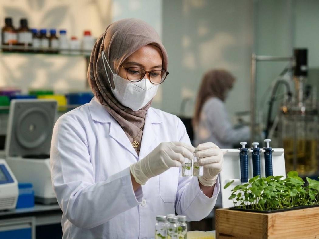 PDRN Tak Lagi Identik dengan DNA Salmon, Kini Ada yang Berasal dari Tumbuhan