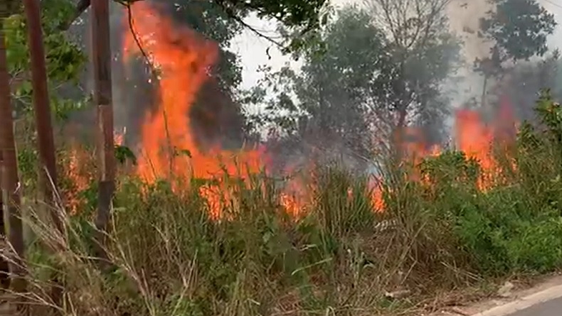 Karhutla Masih Mengancam Kalsel, Petugas Kesulitan Dapatkan Air