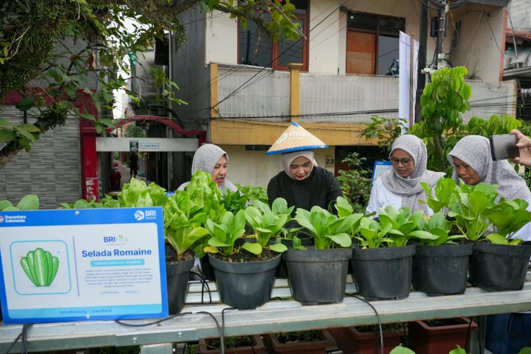 BRI Ajak Jurnalis Menanam di BRInita Bandung, Dorong Ketahanan Pangan Perkotaan