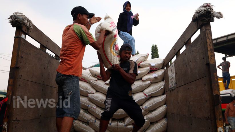Saat Pandemi Covid-19, Kalbar Surplus Produksi Beras