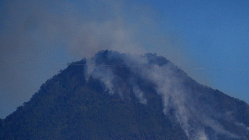 Kebakaran Hutan di Gunung Arjuno, Welirang dan Panderman Berhasil Dipadamkan