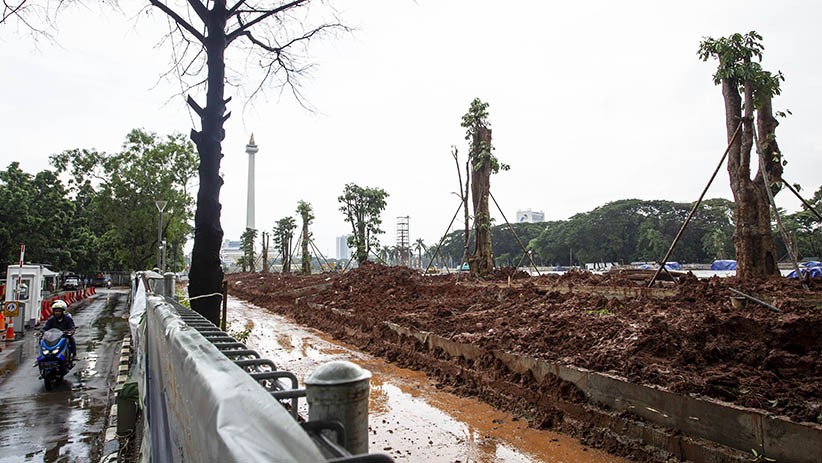 Pemprov Jakarta Akan Ganti 3 Kali Lipat Pohon di Monas yang Ditebang
