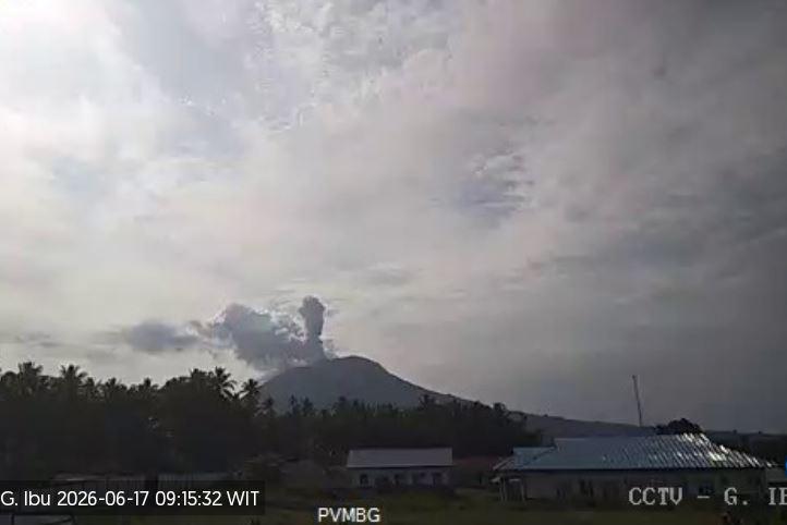 Gunung Ibu Erupsi, Muntahkan Kolom Abu Tebal Setinggi 800 Meter dari Puncak Gunung Ibu Erupsi, Muntahkan Kolom Abu Tebal Setinggi 800 Meter dari Puncak