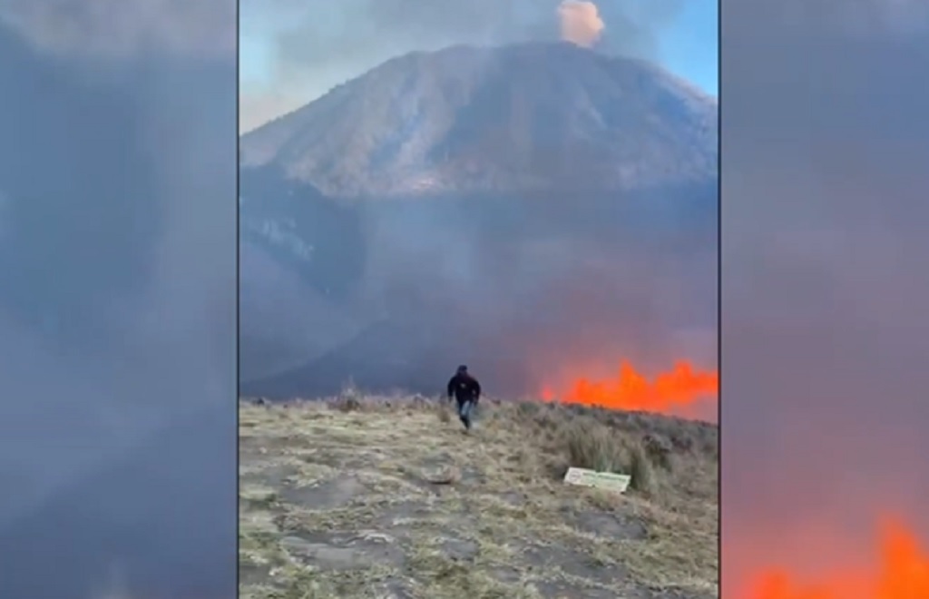 Karhutla Semeru, Relawan Temukan Tulang Belulang Kijang dan Jejak Macan Tutul Karhutla Semeru, Relawan Temukan Tulang Belulang Kijang dan Jejak Macan Tutul