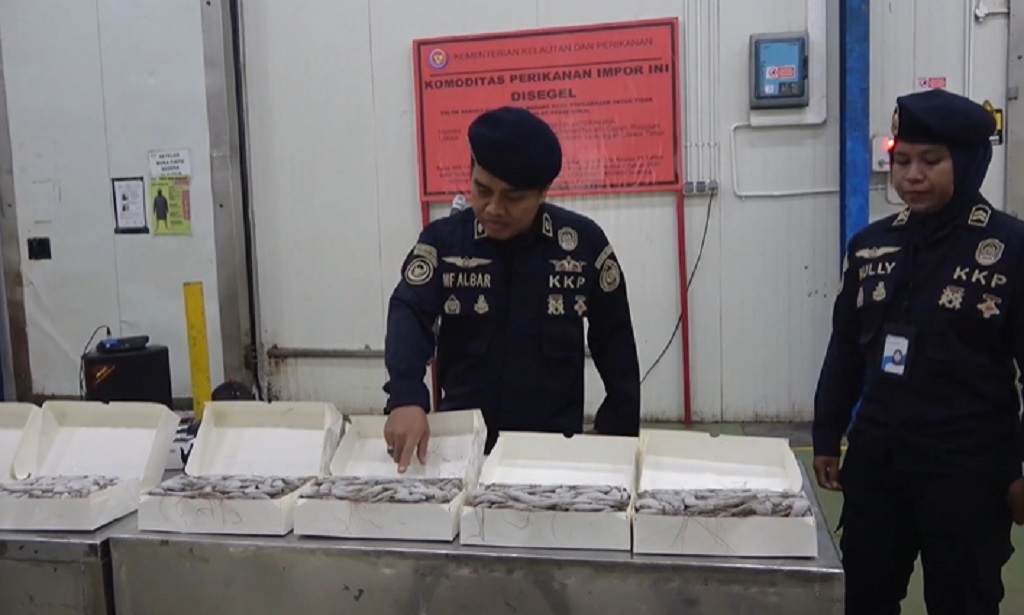 KKP Segel 144 Ton Udang Vaname Impor di Pabrik PT BMI Lamongan