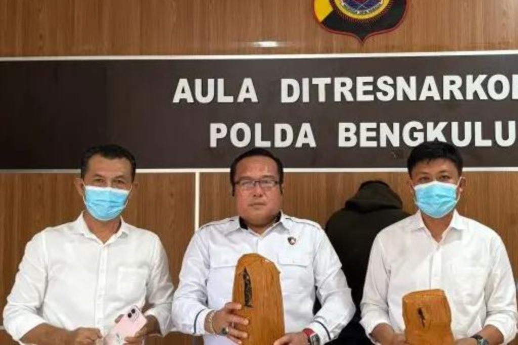 Bawa Ganja 2 Kg, Pria di Bengkulu Ditangkap Polisi Bawa Ganja 2 Kg, Pria di Bengkulu Ditangkap Polisi