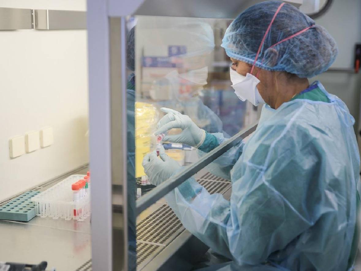 Apa Itu Virus Shamonda yang Kini Bisa Menular ke Manusia? Ini Penjelasannya! Apa Itu Virus Shamonda yang Kini Bisa Menular ke Manusia? Ini Penjelasannya!