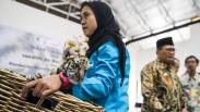Lucunya Donggalah, Anak Harimau Benggala di Bandung Zoo