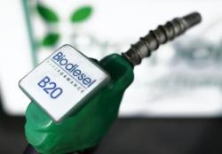 Indonesia Menangkan Sengketa Biodiesel dengan Uni Eropa