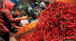 Produksi dan Suplai Terbatas Dianggap Jadi Biang Kerok Harga Cabai Mahal