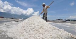 Produksi Bisa Terhenti, Asosiasi Tagih Sisa Impor Garam Industri 1,1 Juta Ton