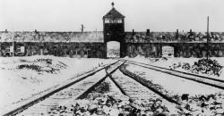 Selangkah Lagi, Polandia Resmi Menyangkal Terlibat dalam Holocaust