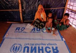 Myanmar Tolak Kedatangan Penyelidik HAM PBB 