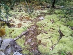 Mengintip Hijaunya Gunung Lumut yang Jadi Primadona di Belitung