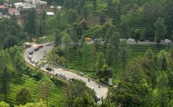 Libur Long Weekend, Simak Tips Hindari Kemacetan di Puncak