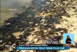 Tumpahan Minyak Cemari Pulau Pari Kepulauan Seribu