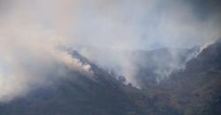 Masuk Kemarau, BMKG Deteksi Kebakaran Hutan dan Lahan di Riau