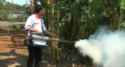 Warga Kena DBD, DPD Perindo Adakan Fogging Massal di Pemalang