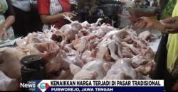Harga Daging Ayam Mahal, Warga Beralih ke Tempe