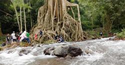 Wisata Akar Seribu yang Bikin Penasaran di Mojokerto