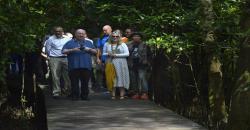 Hunting Foto, Wali Kota Liverpool Terpesona Keindahan Hutan Mangrove 