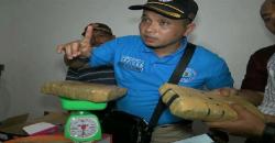 Polisi Gerebek Rumah di Serdang Bedagai, Sita 250 Kg Ganja Siap Edar
