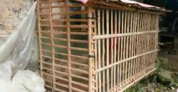 Anak Penyandang Disabilitas di Pandeglang Tinggal dalam Kurungan Ayam