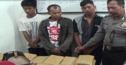 Polisi Gagalkan Penyelundupan 73 Kg Ganja Asal Aceh, 3 Kurir Ditangkap
