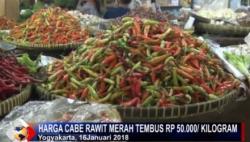 Harga Cabai di Yogyakarta Merangkak Naik