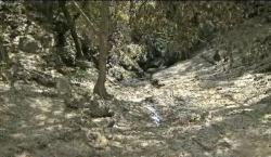 Pascabanjir Gunungkidul, 35 Hektare Lahan Pertanian Terendam Lumpur