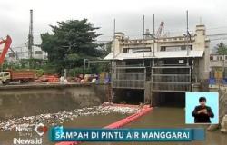 Pintu Air Manggarai Dipenuhi Sampah