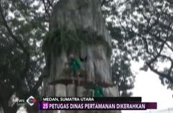 Dinas Pertamanan Siapkan Dekorasi Taman Ngunduh Mantu Kahiyang-Bobby