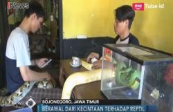 Unik, Kafe Ini Sajikan Kopi di Tempat Penuh Reptil