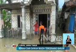 Sungai Bengawan Solo Meluap, Banjir di Tuban Meluas