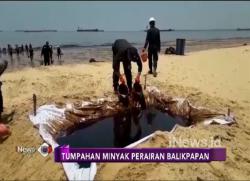 Tumpahan Minyak di Perairan Teluk Balikpapan Rusak Ekosistem