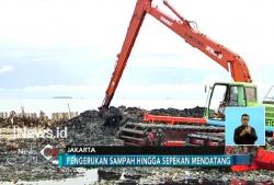 Hari Ke-5 Pengerukan Muara Angke, Ini Sampah yang Ditemukan Petugas
