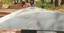 Jutaan Ulat Serang Kota di China