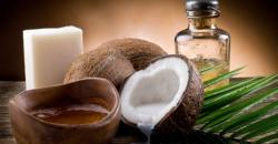 2 Juta Butir Kelapa Diolah Tiap Hari, dari Santan hingga Cocopeat untuk Pasar Dunia
