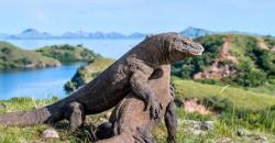Eksplor Destinasi Ecotourism Indonesia lewat Duta Wisata