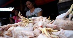 Harga Daging Ayam Tak Lagi Bersahabat, Pedagang Terpaksa Tutup Kios