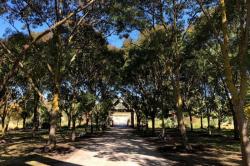 Kuburan Jadi Salah Satu Tempat Wisata di Australia, Ini Alasannya