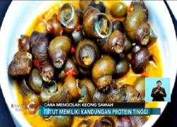 Begini Tips Mengolah Keong Sawah yang Benar agar Tidak Keracunan