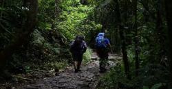 4 Pendaki Terjebak Badai di Gunung Marapi, Salah Satu Korban Keponakan Wagub Riau