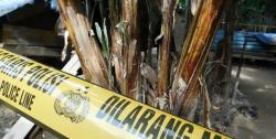 Lagi Olah TKP, Dua Polisi di Sulteng Ditembaki Orang Tak Dikenal