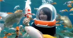 Berenang dengan Ikan di Umbul Ponggok, Kolam Alami Mirip Akuarium