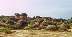 Tersembunyi di Gresik, Yuk Kunjungi Bukit Jamur yang Lagi Kekinian