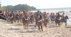 Pantai Walakiri Terlihat Eksotis karena Parade 1001 Kuda Sandelwood