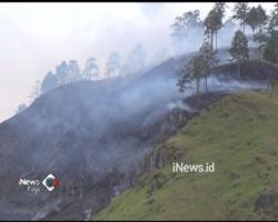 Puluhan Hektare Lahan di Aceh Terbakar, Wisatawan Terancam