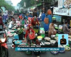 Cuaca Buruk di Pantura, Harga Ikan Laut Naik 100 Persen