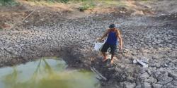Waduk Kering di Musim Kemarau, Petani di Jombang Terancam Gagal Panen